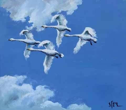 Wan Weisheng, Four Whooper Swans in Flight, Tempera on Original Watercolor Paper