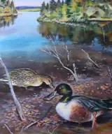 Ivan Kozlov, Greater Scaup - 1991 USSR Duck Stamp Shoveler Duck - First Day Cover