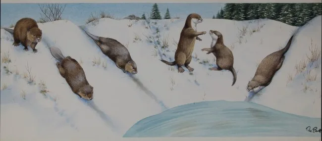 Baby Animals by Peter Barrett, Watercolor on Paper, offered Apr 2020
