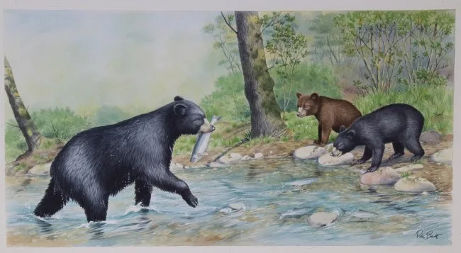 Baby Bear by Peter Barrett, Watercolor on Paper, sold Apr 2020
