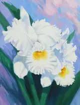 Ren Yu, Cattleya Francis T.C. Au Orchid