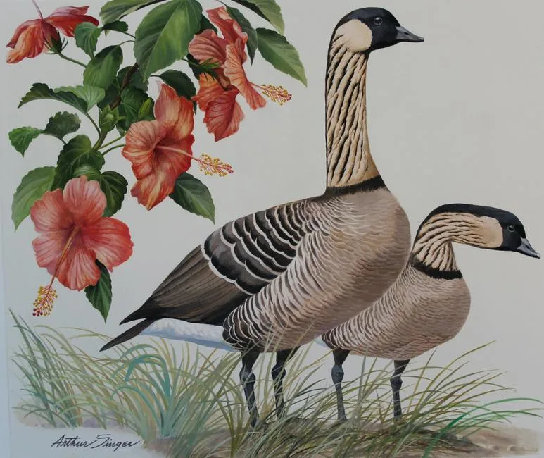 Hawaii Goose & Hibiscus by Arthur B. Singer, Watercolor on Illustration Board, sold Apr 2020