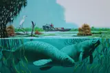 Dean Ellis, Manatee