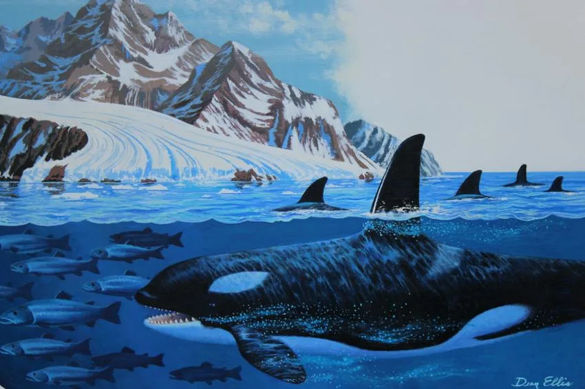 Killer Whale by Dean Ellis, Oil on Illustration Board, offered Apr 2020