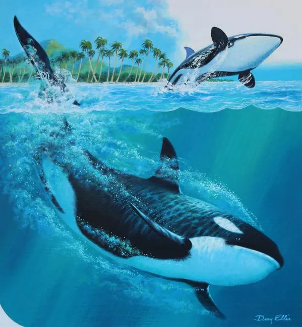 Killer Whale by Dean Ellis, Oil on Illustration Board, sold Apr 2020