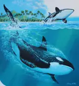 Dean Ellis, Killer Whale