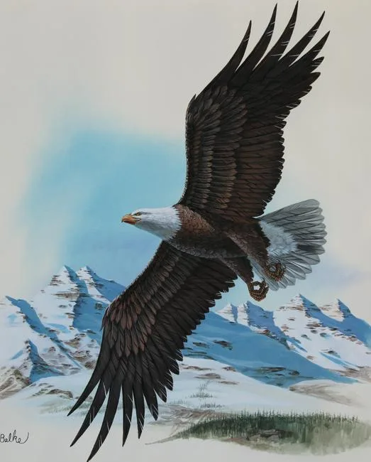 Bald Eagle by Don Balke, Watercolor, sold May 2020