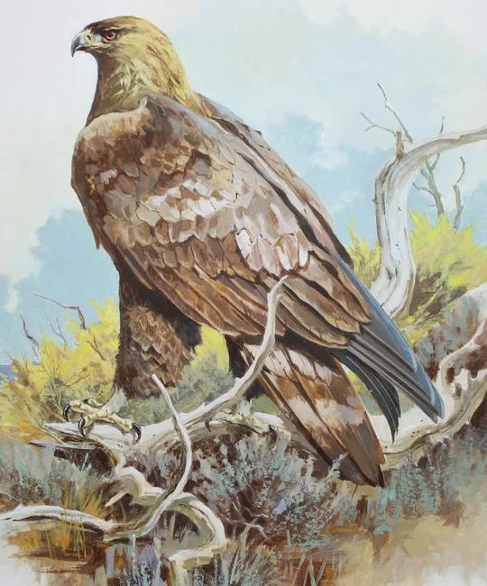 Golden Eagle by John Swatsley, Oil on Illustration Board, sold May 2020
