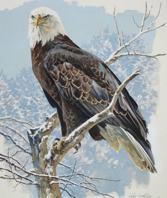 Bald Eagle by John Swatsley, Oil on Illustration Board, sold May 2020