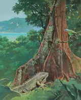 John Swatsley, Green Iguana and Red-necked Parrot in Rainforest