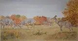 Peter Barrett, The Life of a Baby Deer