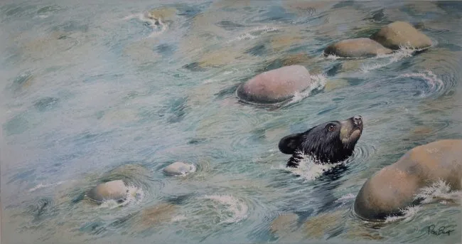 Baby Bear by Peter Barrett, Watercolor on Paper, sold May 2020