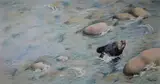 Peter Barrett, Baby Bear