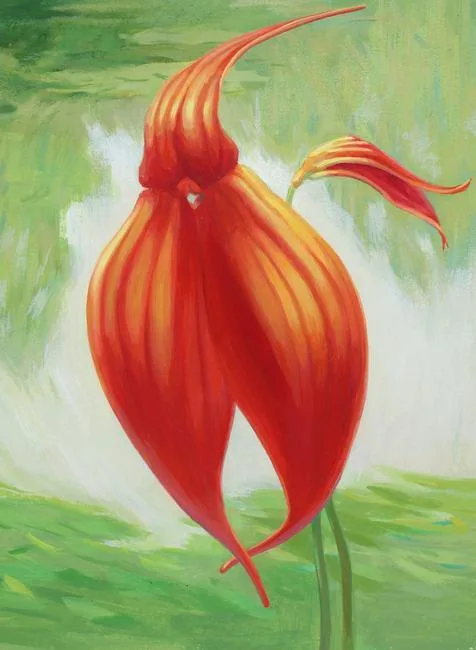 Ren Yu, Masdevallia veitchiana Orchid, Watercolor on Illustration Board
