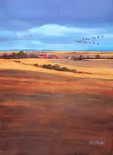 Tom McNeely, Amber Waves of Grain