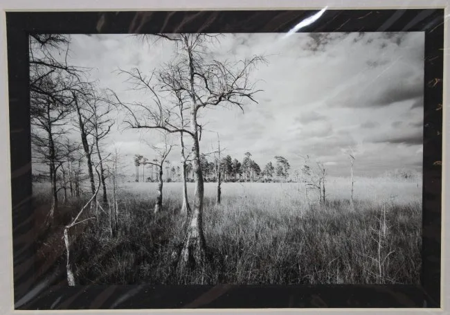 Loop Road #1 by Clyde Butcher, 1988, Print, sold May 2020