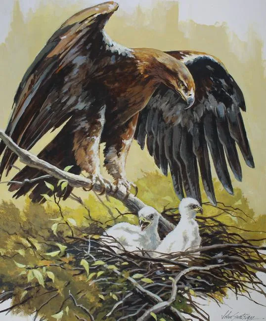 Spanish Imperial Eagle by John Swatsley, Oil on Illustration Board, sold Jul 2020