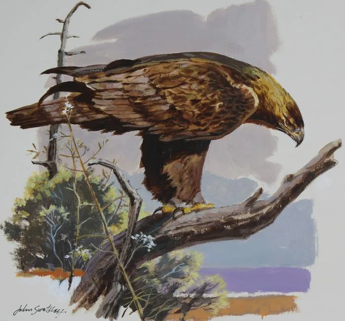 Golden Eagle by John Swatsley, Oil on Illustration Board, sold Jul 2020