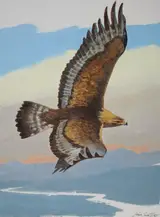 John Swatsley, Golden Eagle