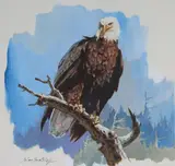 John Swatsley, Bald Eagle
