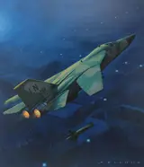 F-111 Aardvark, Helmuth Stone Gallery 2020