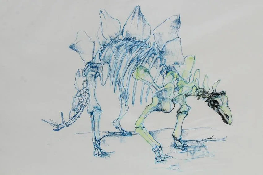 Bryan Kneale, Dinosaurs - Stegosaurus, Pencil on Illustration Board