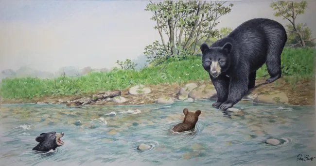 Baby Bear by Peter Barrett, Watercolor on Paper, sold Jul 2020