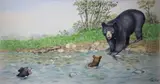 Peter Barrett, Baby Bear