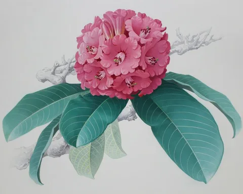 Rhododendron Giganteum by Zeng Xiaolian, watercolor, sold Jul 2020