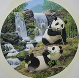 Chuck Ripper, Pandas Eating Bambo Shoots by Waterfall