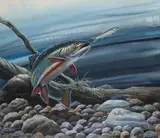 Don Balke, Brook Trout