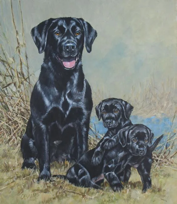 Roger Cruwys, Black Labrador Retrievers, Oil on Masonite