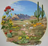 Chuck Ripper, Desert Flowers