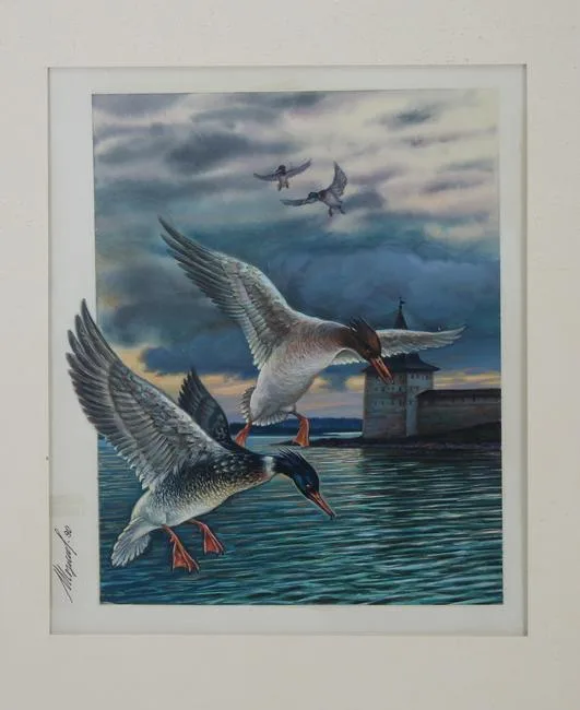 Red-breasted Merganser by Ivan Kozlov, Watercolor on Paper, sold Jul 2020
