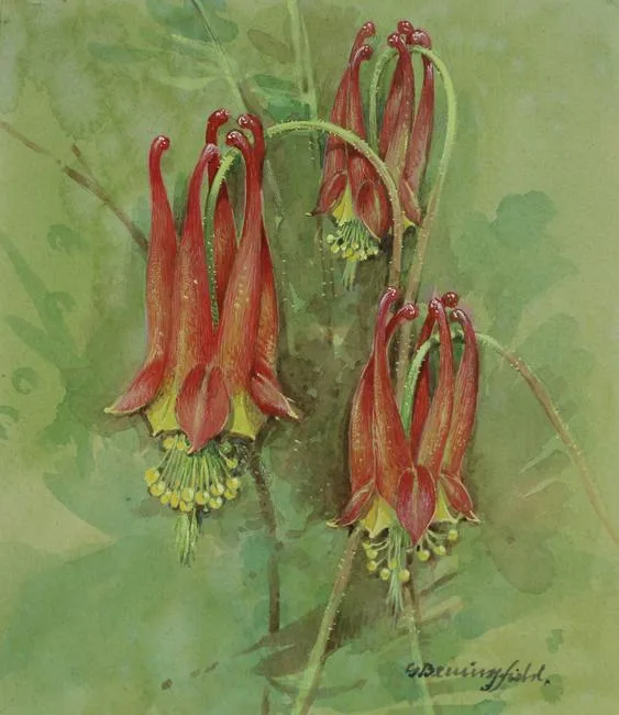 Large - Flowered Trillium by Gordon Beningfield, watercolor/gouache, sold Jul 2020