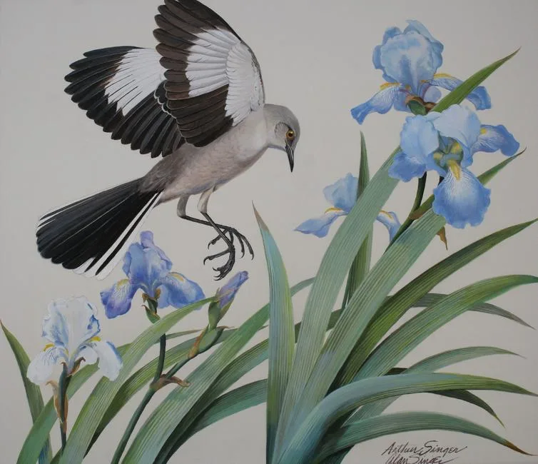 Mockingbird and Iris by Arthur B. Singer, Watercolor on Illustration Board, sold Aug 2020
