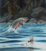 Don Balke, Fishing Flies - Royal Wulff