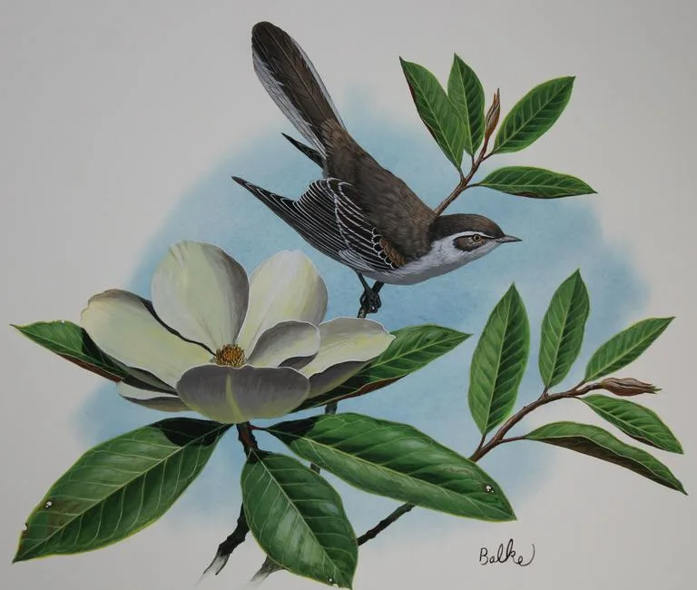 Mockingbird and Magnolia by Don Balke, Watercolor on Illustration Board, sold Aug 2020