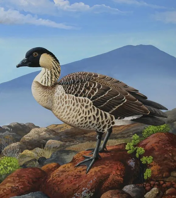 Chuck Ripper, Hawaiian Goose, Gouache/Watercolor on Masonite