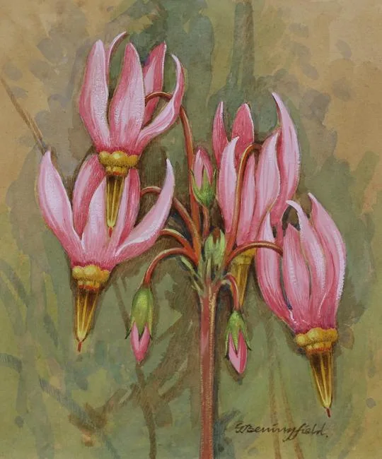 Shooting Star by Gordon Beningfield, Watercolor on Illustration Board, sold Aug 2020