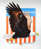 David K. Stone, American Eagle Shield