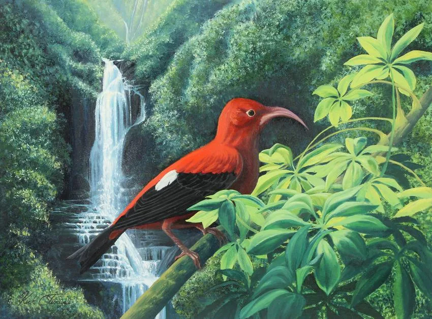 Liwi by Kirk Stirnweis, Oil on Illustration Board, sold Aug 2020