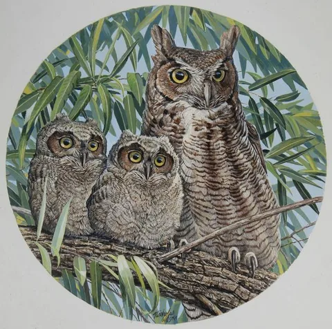 Nicholas Wilson, Great Horned Owl Mother with Babies, Gouache on Masonite