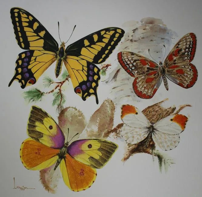 Lyle Tayson, Butterflies, Mixed Media on Illustration Board