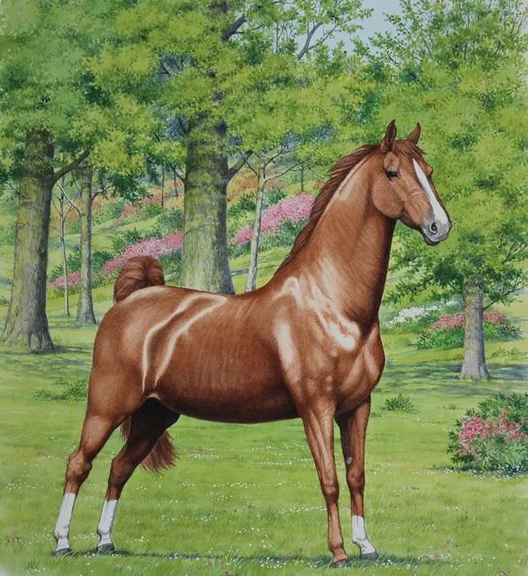 Saddlebred Horse by Peter Barrett, Watercolor on Illustration Board, sold Aug 2020