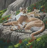R.G. Finney, North American Cougar Mother with Cubs