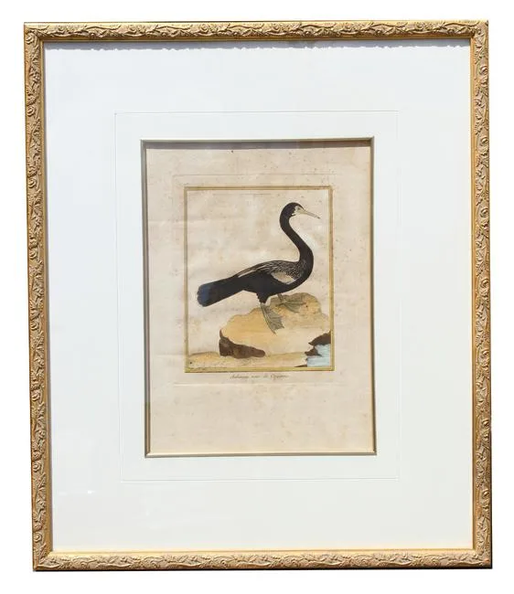 Untitled by François-Nicolas Martinet, Engraving, offered Aug 2020