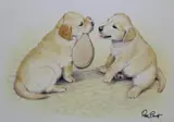 Peter Barrett, Life of a Puppy