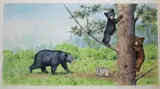 Peter Barrett, Life of a Baby Bear