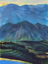 Tom McNeely, Nicaragua Landscape